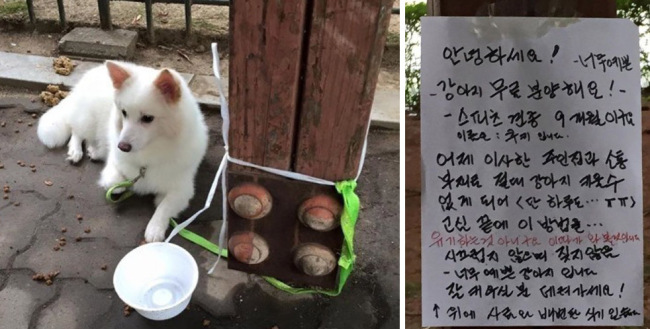 지난해 ‘강아지를 버리지만 유기하는 건 아니다’고 주장하는 내용과 강아지 사진을 올린 견주가 온라인커뮤니티의 공분을 샀다.
[사진출처=온라인커뮤니티 캡처]
