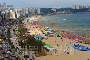 [사진= 여름휴가를 맞아 바다를 찾은 사람들]