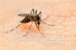 [사진=게티이미지뱅크]