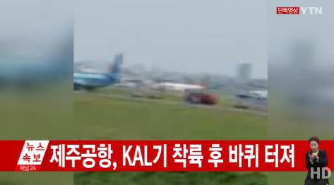 [사진 출처 = YTN 방송화면 캡처]