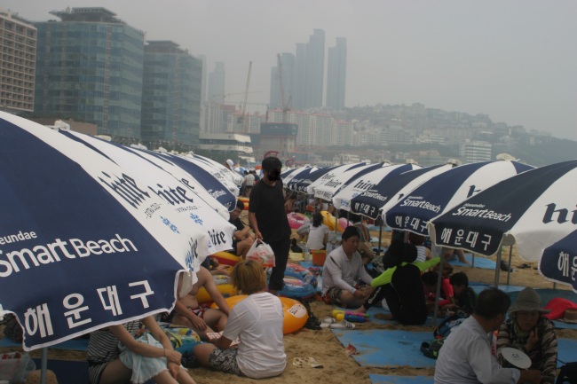 해운대 해수욕장 백사장을 점령한 상업적 목적의 파라솔. 1만6000원을 내고 파라솔과 튜브를 빌려야 한다.