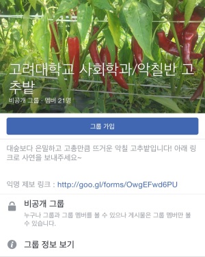 고려대 사회학과 남학생 일부가 지난 해 5월부터 ‘고추밭’이라는 이름으로 페이스북 비공개 그룹을 만들어 동료 여학생에 대한 성희롱 발언을 일삼고 음란물을 공유해온 것으로 드러났다. 해당 그룹 페이지의 대다수 게시물은 그룹 관리자가 제보를 받아서 올렸으나 일부는 그룹 회원이 직접 올리기도 한 것으로 드러났다.[출처=해당 페이스북 페이지 및 제보 웹페이지 캡쳐]