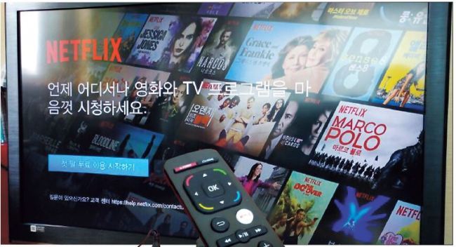 [사진1= 넷플릭스 자료사진 (헤럴드DB)]