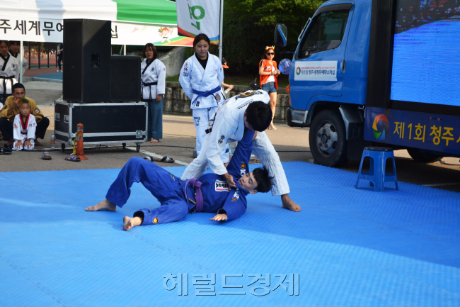 　
청주야구장 장외에 특설매트를 깔고 열린 2016청주세계무예마스터십의 게릴라 무예시연.