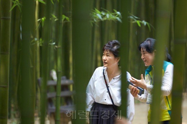 [사진설명= 박근혜 대통령은 18일 인천 월미공원을 방문했다. 울산 태화강 십리대숲과 서산 버드랜드에 이은 국내관광 활성화를 통한 내수경기 진작의 일환이다. 사진은 박 대통령이 여름휴가 기간인 지난달 28일 십리대숲을 방문했을 때의 모습.]