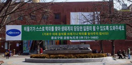 서울시는 집비둘기 밀집지역에 ‘먹이제공 금지’ 현수막을 부착해 개체수 감소를 유도하고 있다.