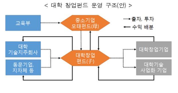 대학 창업펀드 운영 구조. [제공=교육부]