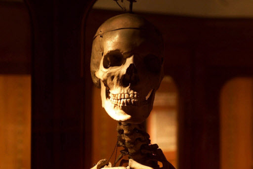 In this July 12, 1999 file photo, the skull of a giant peers out at visitors at the Mutter Museum in Philadelphia. The Mutter Museum is among hundreds of curious attractions featured in “Atlas Obscura,” a new book that catalogues some of the intriguing wonders featured on AtlasObscura.com, a website beloved by travelers with a taste for the offbeat. (AP-Yonhap)