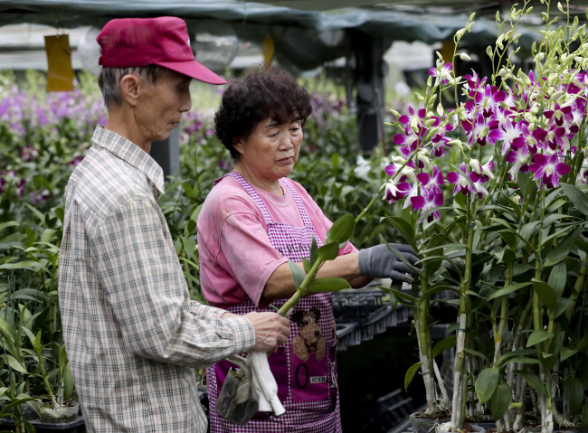 The Biological Cost of Ceremonial Planting