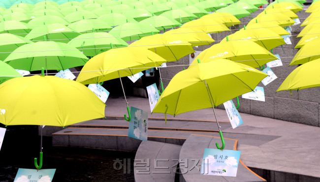 제18호 태풍 ‘차바’가 북상하면서 수도권에도 영향을 주고 있다. 5일 오전 서울 광화문 청계천 모전교에 어린이재단에서 설치한 초록우산이 바람에 흔들리고 있다. 기상청에 따르면 4일 오후부터 5일 오전 7시 현재까지 제주(북부) 172.2㎜, 서귀포(남부) 288.9㎜, 성산(동부) 133.9㎜, 고산(서부) 26.1㎜ 등의 강수량을 기록했다. 박현구 기자/phko@heraldcorp.com