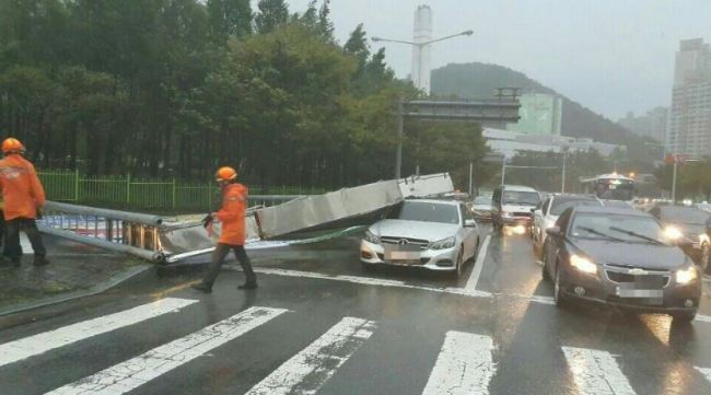 부산도 차바 피해 속출