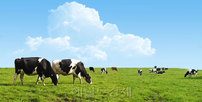 [사진=헤럴드경제DB]