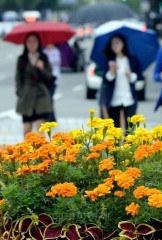 내일날씨, 16일 전국에 가을비…최저 11도, 최고 21도