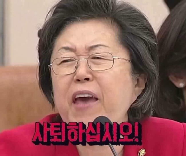 도널드 트럼프 미국 공화당 대통령 선거 후보의 모습으로 만든 짤(왼쪽). 이은재 새누리당 의원의 모습을 소재로 만든 짤.   [출처=온라인 커뮤니티]