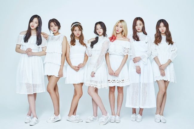 K-pop girl group Momoland (Dublekick Entertainment)