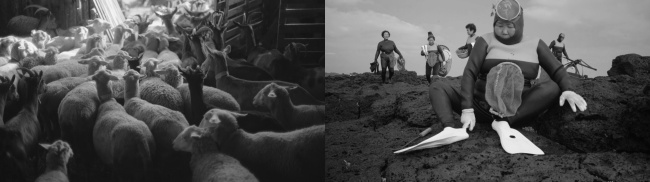 Jean-julien pous, Rsonances, 2016, Documentary, 61mn/2K