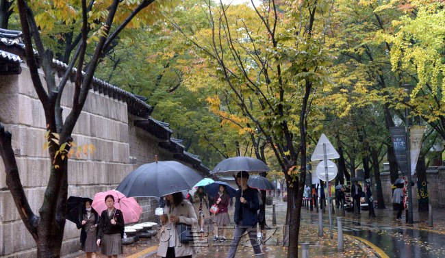 [사진=25일 오전 전국적으로 가을비가 내리고 있는 가운데 출근길 시민들이 단풍이 물들어 가는 서울 중구 덕수궁 돌담길에서 발걸음을 재촉하고 있다. 기상청은 이날 오후 가을비가 그친 뒤 당분간 아침 기온이 평년보다 조금 낮을 것이라고 예보했다. 정희조 기자/checho@heraldcorp.com]