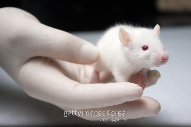 [사진=게티이미지뱅크]