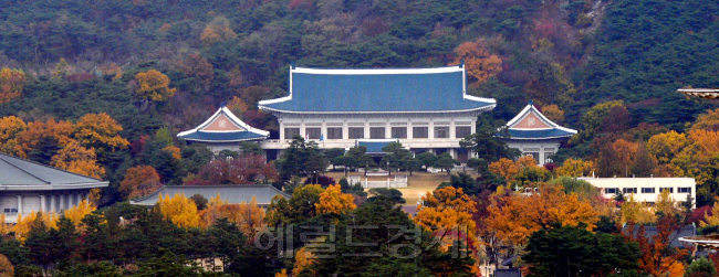 ‘최순실 국정농단’에 분노한 체육인들이 7일 오전 서울 중구 프레스센터에서 ‘권력사유 국정농단 박근혜 대통령은 물러가라!’는 시국선언을 한 가운데 프레스센터에서 바라본　청와대에 차갑고 고요한 분위기가 감돌고 있다. 박현구 기자/phko@heraldcorp.com 　