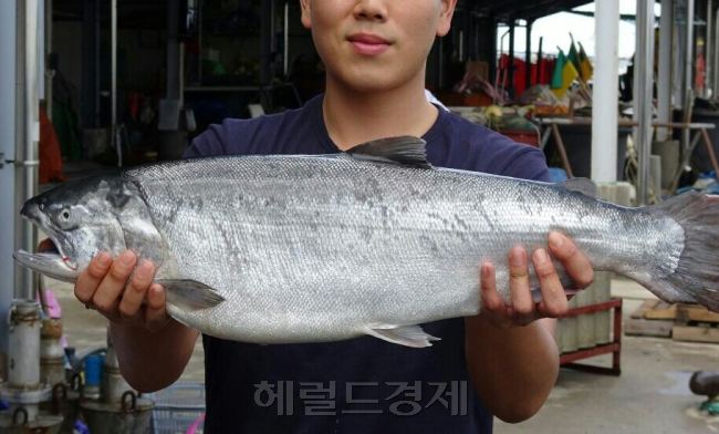 [사진=헤럴드경제DB]