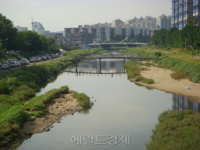안양천 모습 [사진=헤럴드경제DB]