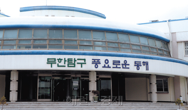 살아 있는 명태가 인공사육 실험실 수조에서 줄지어 유영하고 있다.