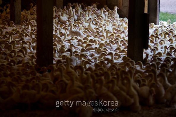 [사진=게티이미지]