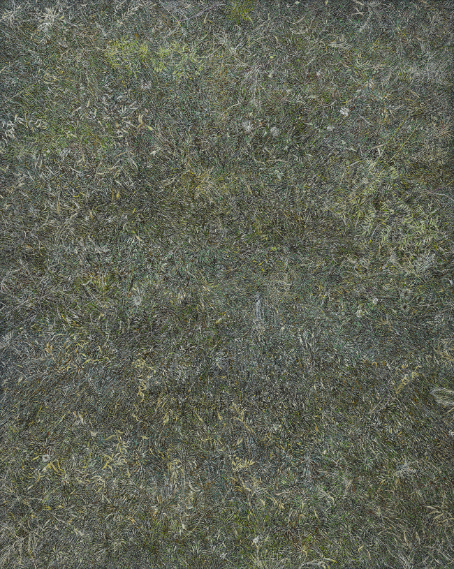 잔디01 Grass1, 2016, Oil on canvas, 227x182cm.[사진제공=학고재갤러리]