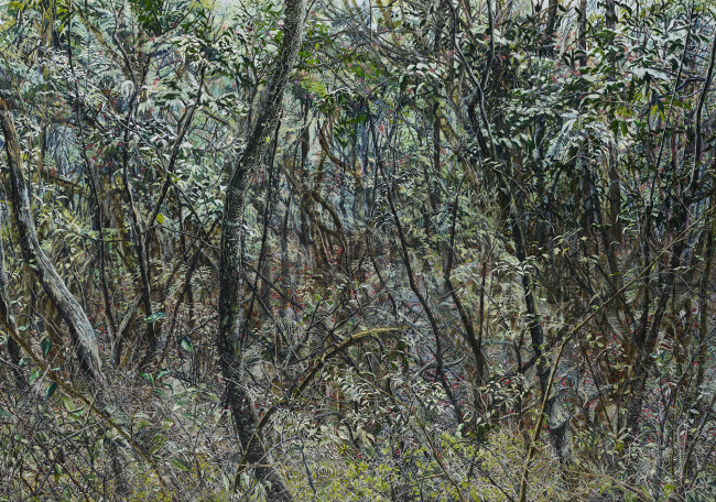 숲06 Forest06, 2015, Oil on canvas, 182x259cm. [사진제공=학고재갤러리]