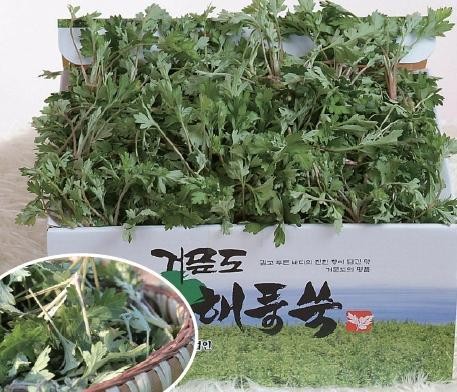 6차산업 접목 친환경농업…농가소득 ‘퀀텀점프’