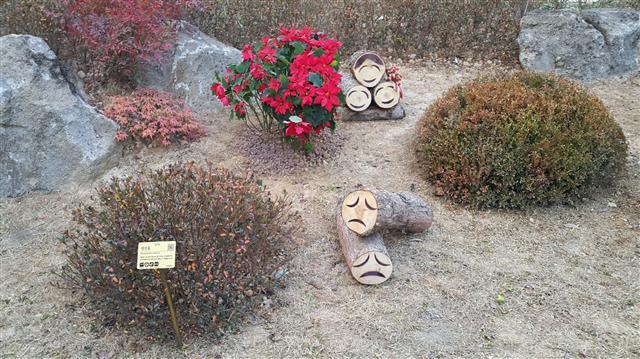 삼성물산 리조트 부문이 진행한 부산시 강서구 ‘명지 호반 베르디움’ 조경은 에버랜드의 동식물을 콘셉트로 한 아기자기한 조경을 뽐낸다.  [사진제공=삼성물산]