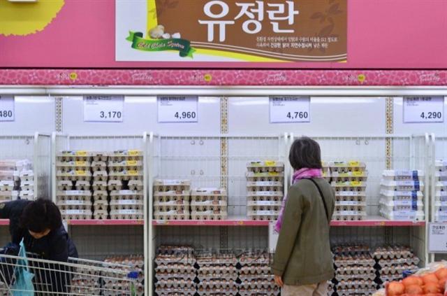 최순실 게이트, 고병원성 조류인플루엔자(AI) 확산으로 서울시민의 체감경기가 얼어붙고 있다.  ［헤럴드경제 DB］