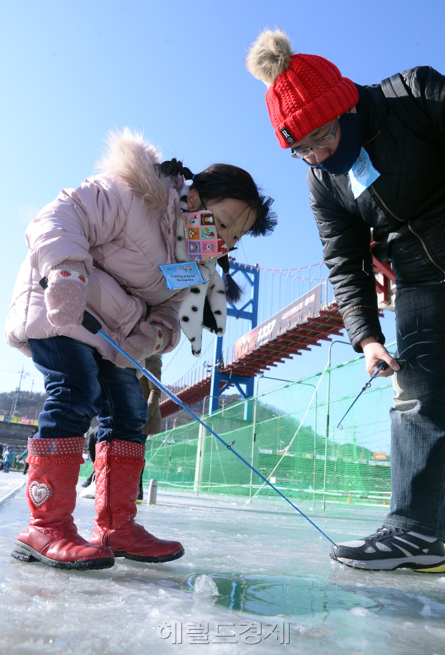 [사진설명=아직은 못잡은 산천어 이지만 인내심을 가지고 얼음구덩이에 시선을 고정한 한 외국인 관광객.]