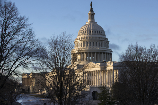 US Congress in Capitl, Washington D.C. (Yonhap)
