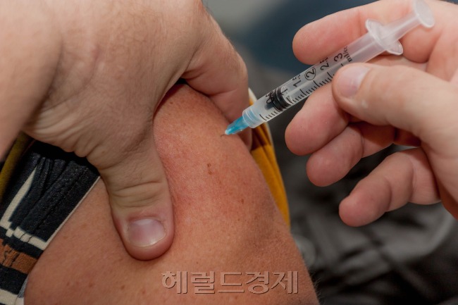올 설 연휴도 동남아 등지로 해외여행을 가는 사람이 많아 모기 매개 감염병 예방을 위한 일본뇌염 등 백신 접종을 맞아야 한다고 전문가들은 조언한다. 사진은 관련 이미지. [사진=헤럴드경제DB]