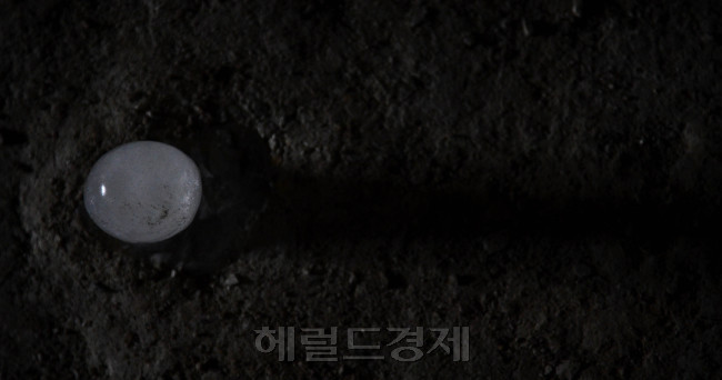 [사진=박해묵 기자/mook@heraldcorp.com]