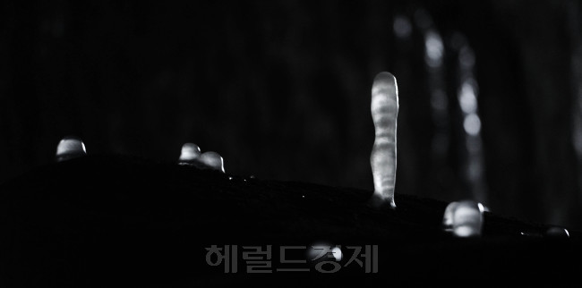[사진=박해묵 기자/mook@heraldcorp.com]