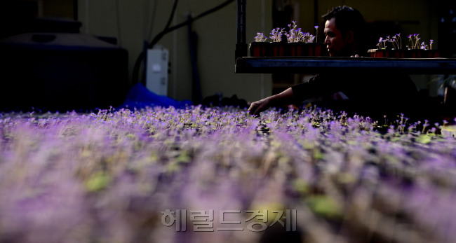 [사진=박해묵 기자/mook@heraldcorp.com]