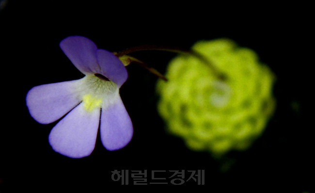 [사진=박해묵 기자/mook@heraldcorp.com]