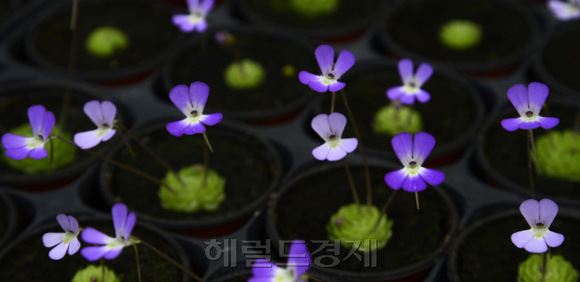 [사진=박해묵 기자/mook@heraldcorp.com]