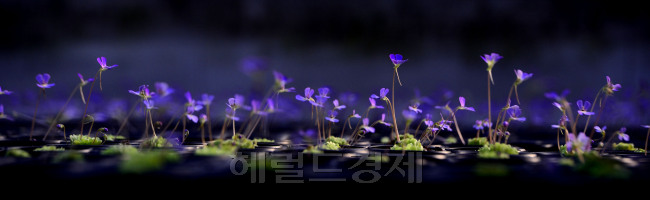 [사진=박해묵 기자/mook@heraldcorp.com]