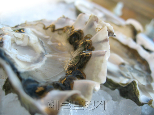 [사진=헤럴드경제DB]
