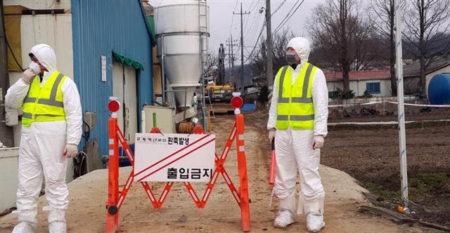 구제역ㆍAI 중앙사고수습본부 상황부실장인 김경규 농림축산식품부 식품산업정책실장이 6일 정부세종청사 농식품부 기자실에서 올 겨울 첫 구제역 최종 확진 판정을 받은 충북 보은군 젖소농장에 대한 브리핑하고 있다. 당국은 구제역 위기경보 단계를 ‘관심’에서 ‘주의’로 격상하고, 바이러스 확산을 막기 위해 일시 이동중지 명령을 검토할 방침이다.