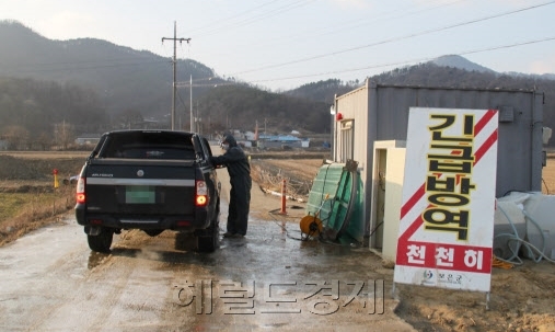 구제역 방역 현장 [사진=헤럴드경제DB]