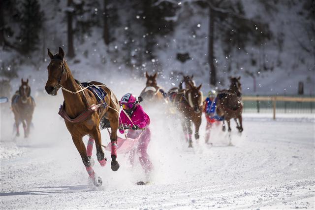 12일(현지시간) 두껍게 얼어붙은 스위스 생모리츠호수 위에서 ‘생모리츠 화이트 터프(St. Moritz White Turf)’ 경마대회가 펼쳐지고 있다. 올해로 110주년을 맞은 이 대회는 일반적인 경마인 갤로핑 경주 외에도 말 뒤에 스키썰매를 매달고 달리는 트로팅, 말 뒤에 매달려 스키를 타는 스키조링 등의 다채로운 대회가 열린다.   [생모리츠=EPA연합뉴스]