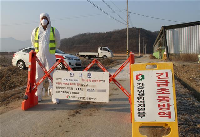 멈출줄 모르는 구제역 공포. 지난 12일 전국 6번째로 구제역이 확진된 충북 보은군 탄부면 상장리 한우농장 입구에서 가축위생방역지원본부가 13일 외부인 출입을 통제하고 있다. [연합뉴스]