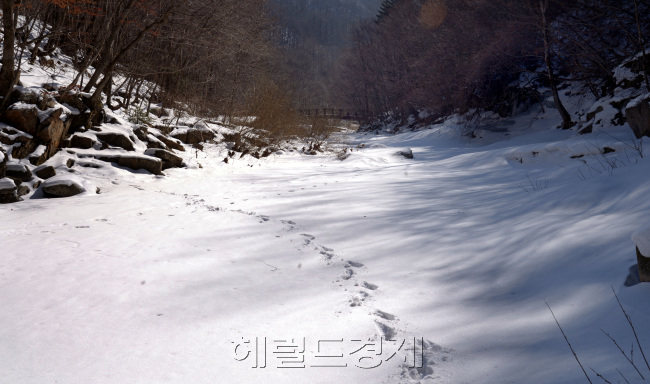 [사진=정희조 기자/checho@heraldcorp.com]