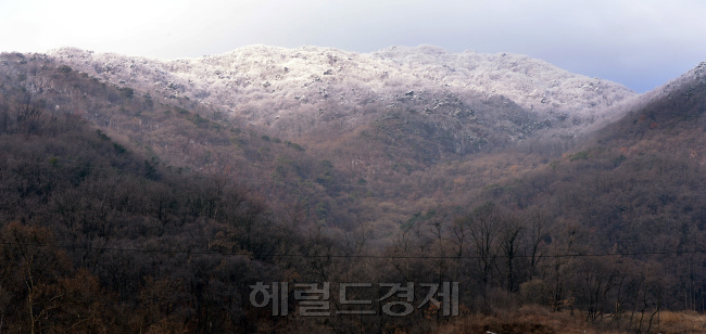 3.1절 서울수도권에 내린 비가 2일 새벽 눈으로 바뀌어 산정상에 눈꽃이 피었다. 멀리 청계산 눈꽃과 산밑 눈녹은 날씨가 대비를 이루고 있다. <br />정희조 기자/checho@heraldcorp.com  170302
3.1절 서울수도권에 내린 비가 2일 새벽 눈으로 바뀌어 산정상에 눈꽃이 피었다. 멀리 청계산 눈꽃과 산밑 눈녹은 날씨가 대비를 이루고 있다.
정희조 기자/checho@heraldcorp.com  170302