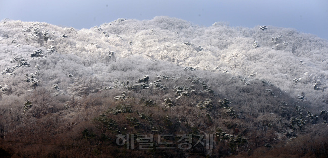 3.1절 서울수도권에 내린 비가 2일 새벽 눈으로 바뀌어 산정상에 눈꽃이 피었다. 멀리 청계산 눈꽃과 산밑 눈녹은 날씨가 대비를 이루고 있다. <br />정희조 기자/checho@heraldcorp.com  170302
3.1절 서울수도권에 내린 비가 2일 새벽 눈으로 바뀌어 산정상에 눈꽃이 피었다. 멀리 청계산 눈꽃과 산밑 눈녹은 날씨가 대비를 이루고 있다.
정희조 기자/checho@heraldcorp.com  170302