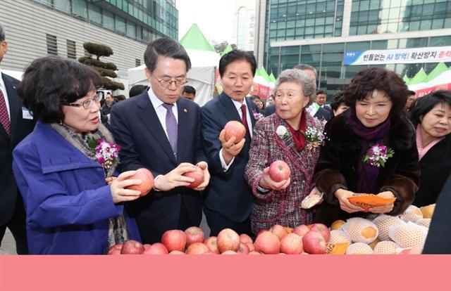 지난 1월 서울 중구 농협중앙회 본관 광장에서 열린 ‘2017 설맞이 소비자·생산자 상생 직거래 장터’에서 김재수 농림축산식품부 장관(왼쪽 두번째), 김병원 농협중앙회 회장(왼쪽 세번째), 김천주 소비자재단 이사장(왼쪽 네번째) 등 참석인사들이 우리과일 부스를 둘러보고 있다.  [사진제공=농협]
